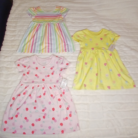 Baby Girl Dresses (Set of 3) | Size 18 M | Garanimals | NWT - Picture 3 of 9